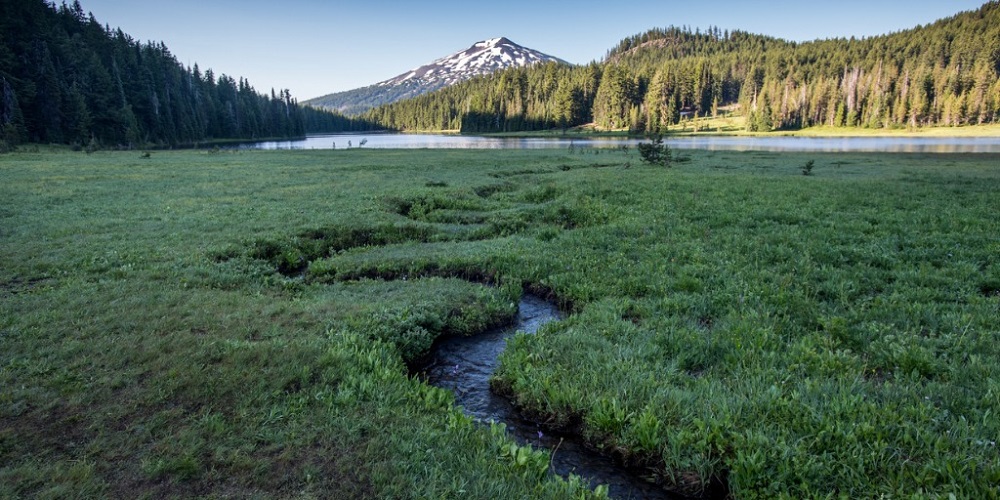 PCSAR Rescues Four Ill Hikers in Separate Searches