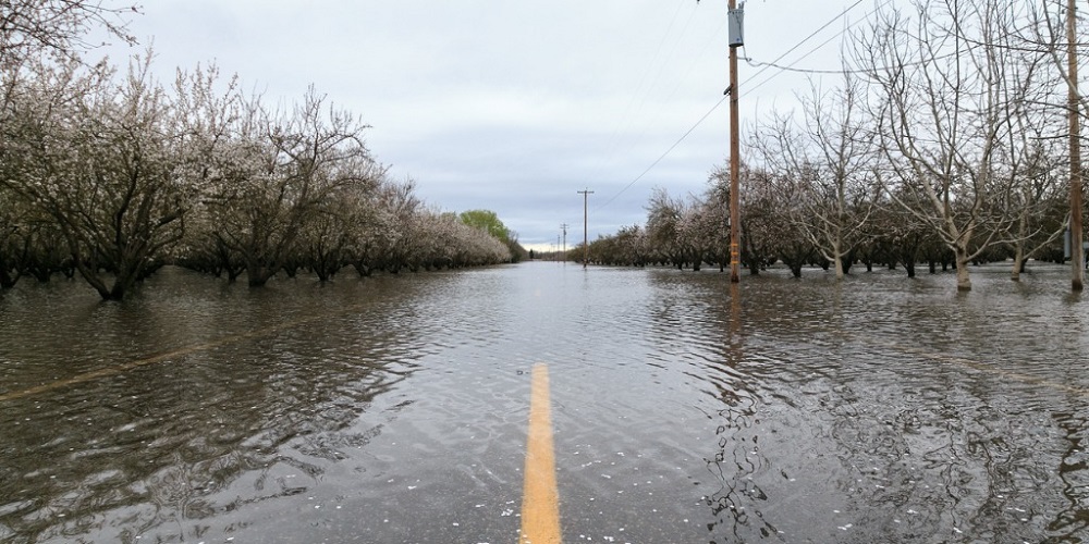 SAR Teams On Mission To Find Ninety Two People Who Are Still Missing in The Hurricane Milton Aftermath