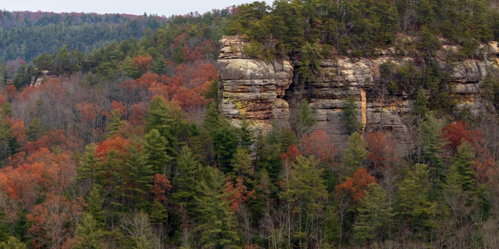 RCSAR Rescues Two People Near Lake Cumberland
