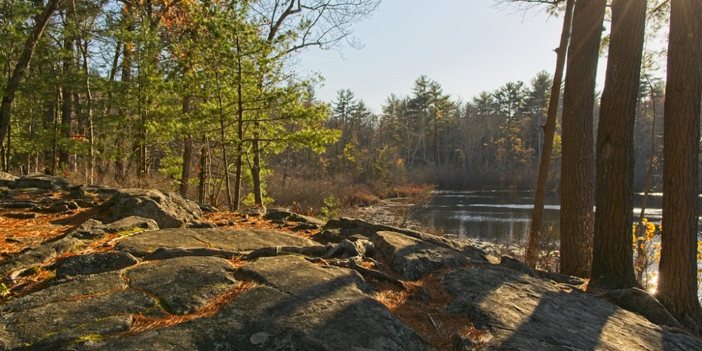 Haletown Fire and Rescue Locates Hiker Near Trail