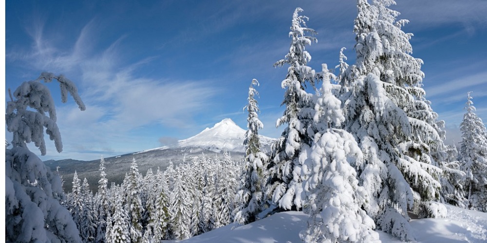 Snowmobiler Safe After Crash in Lewis County