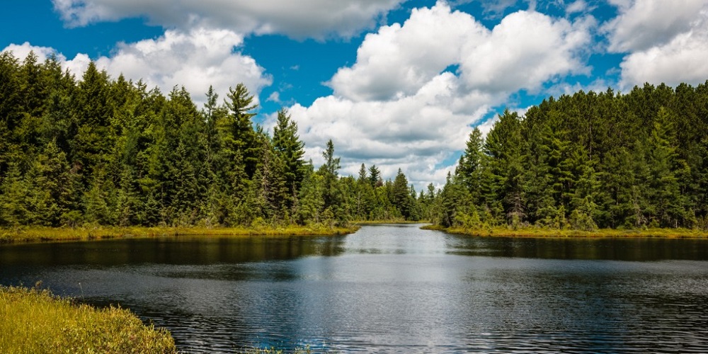 Two Duck Hunters Found Dead in Adams County