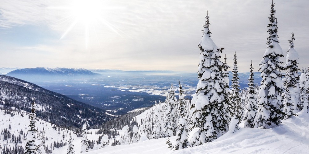 Snowmobiler Rescued by WCSAR After Cracking Ribs in Center Creek