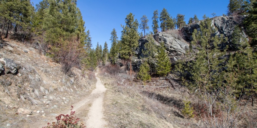 AFR and other SAR Teams Rescued Injured Hiker Near Pino Trail
