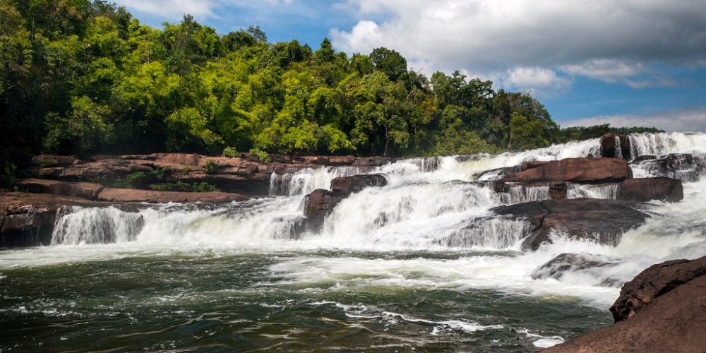 Search For Woman and Dog Who Fell into Carbon River Launched