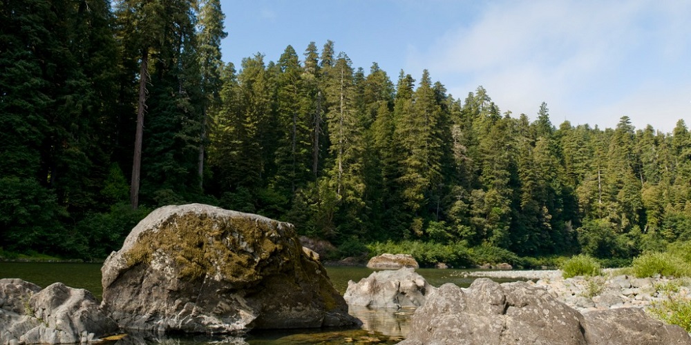 LCSO Rescues Two Juveniles In Oakridge Wilderness Area