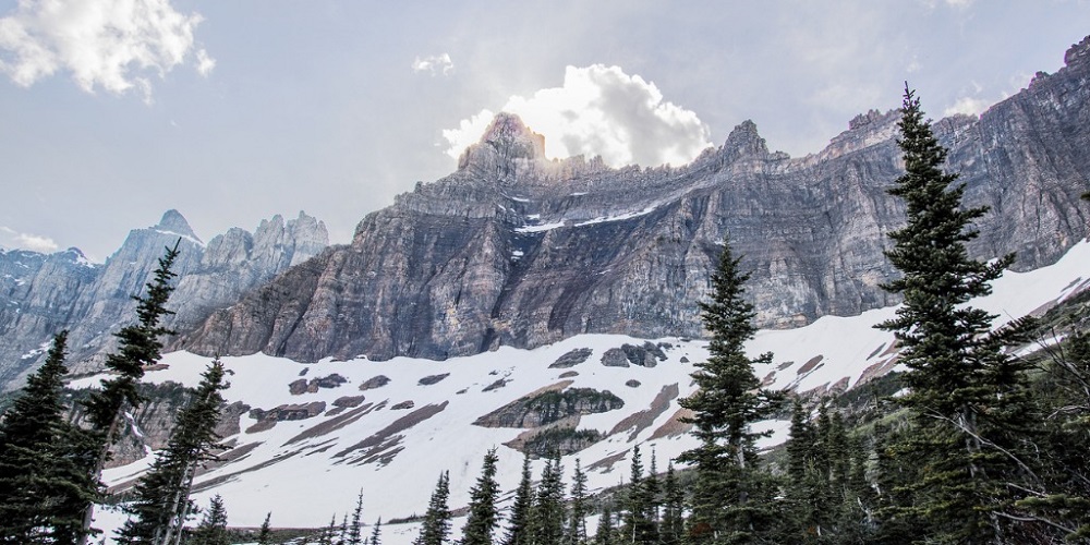Hiker Dies After Trying to Retrieve Her Phone on Mount Seymour