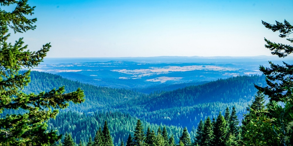 Injured Mountain Biker Rescued Near Gibsons