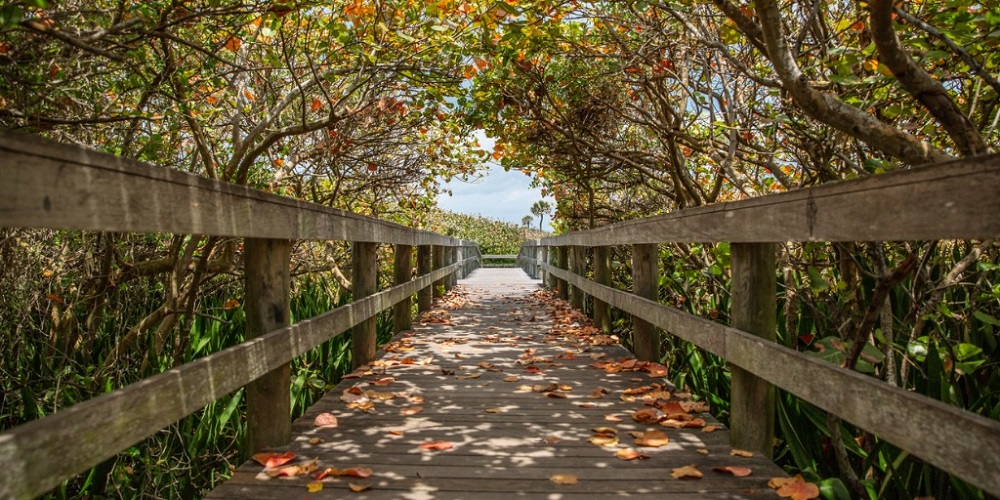 Hiker Found Safe At Low Gap Trail