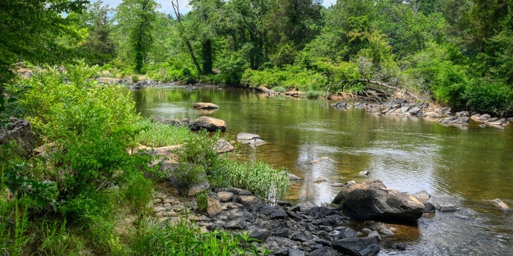 Body of Missing Man Found in Snoqualmie River