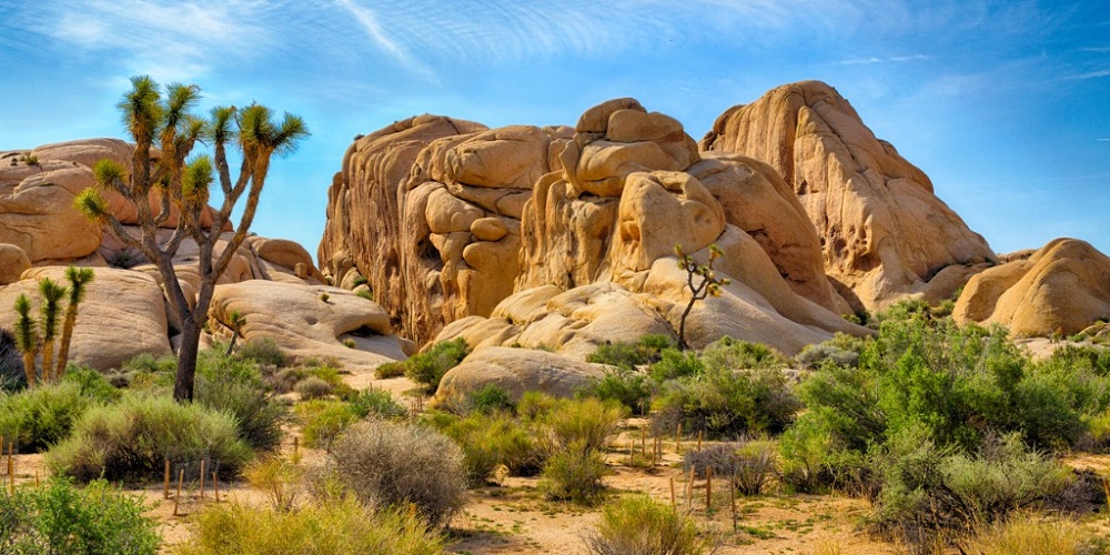 Injured Hiker Rescued on Arizona Trail