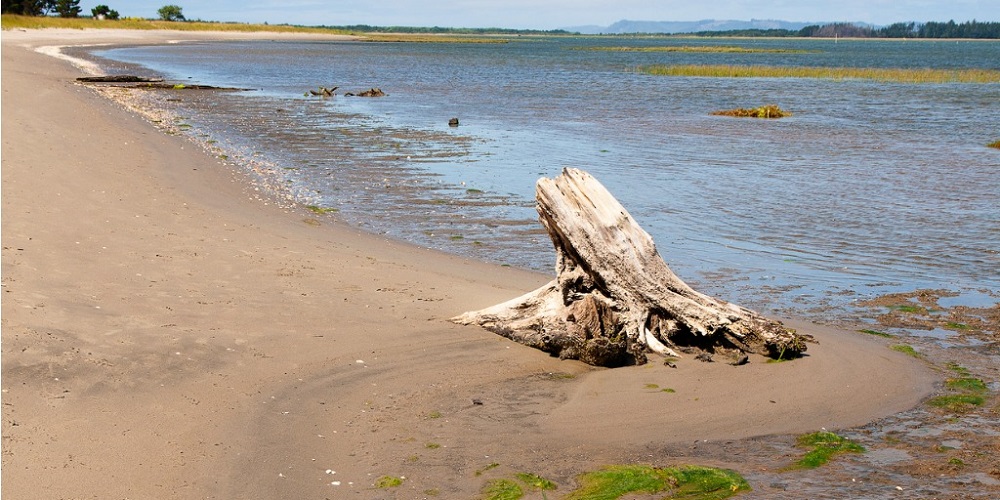 SAR Team Rescues Man Trapped in Quicksand in Morecambe Bay