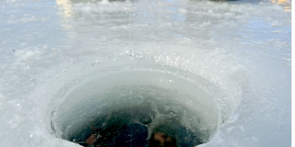 SAR Teams and Neighbors Rescued Snowmobiler From Bush Lake